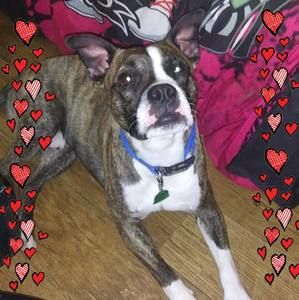 Meet your Posher, Renee